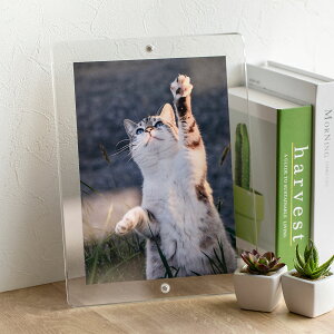 }Op` tHgt[ X^_[h B5TCY i tHgX^h ʐ^ }Olbg AN {   u^ Ǌ| X^h ʐ^ c  ʐ^t[ ʐ^ Ce