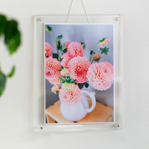 }Op` tHgt[ X^_[h A4TCY i tHgX^h ʐ^ }Olbg AN {   u^ Ǌ| X^h ʐ^ c  ʐ^t[ ʐ^ Ce