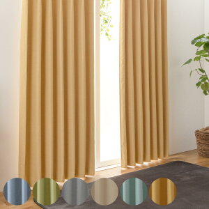 J[e h 2Ռ `L 100×135cm n Vv n i h[vJ[e ՌJ[e hH  Ԏd؂  ډB v[cH ՔM EHbVu  2g J j