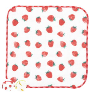 ~j^I K[[~jnJ` 15×15cm t[c i nh^I @ K[[ nJ` ^InJ` 100 ~jnJ` ӂ  Ox O^O ߃TCY j y39Vb