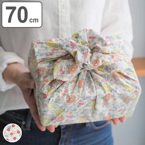 C~ GRobO 70cm ͂ ~ju[P ӂ낵 啗C~ 100 i C~ C~ C~ ٓ `V[g itL ^ obO  GR  ԕ j
