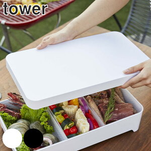 R tower Wt㐅؂g[ ^[p^ W i 4903208025287 p^p ӂ pW t^̂   mg[ Lb`G Lb`ObY Lb`֗ObY jy39Vbvz