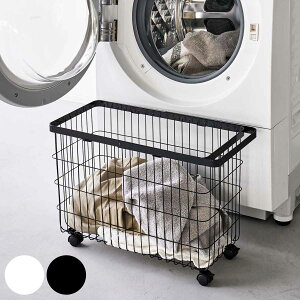 yr[Ttz R tower h[oXPbg ^[ LX^[t Ch[ i 4903208066273 ^[V[Y 󂩂 h[S JS 󕨓 p^ X`[