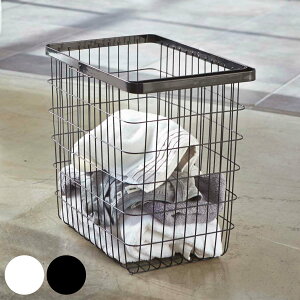 yr[Ttz R tower h[C[oXPbg ^[ L i 4903208031622 ^[V[Y 󂩂 C[  h[ JS 󕨓   E߂