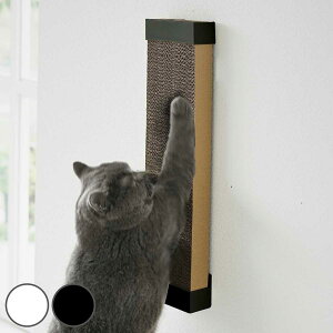 R tower ΂{[hǑΉEH[Lp܂Ƃz_[ ^[ i 4903208040969 ^[V[Y Lp܂Ƃ ܂Ƃz_[ ΂{[hs Lp lR ˂ Lpi z_[ X`[