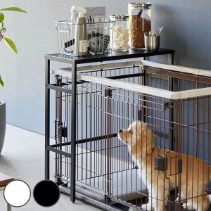 yr[Ttz R tower LkybgP[WドbN ^[ i 4903208040860 ^[V[Y P[WドbN Lk ybgpi ybgP[W ybgP[WドbN LkbN 