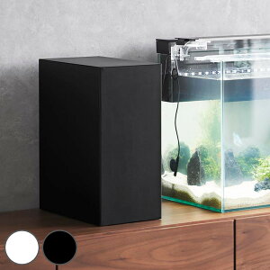 yr[Ttz R tower [{bNX ^[ i 4903208018913 ^[V[Y [ {bNX {bNX [  GT eiXpi dR[h 2i