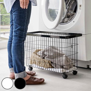 yr[Ttz R tower h[oXPbg ^[ LX^[t i 4903208047760 ^[V[Y Ch[ 󂩂 h[S JS h[ oXPbg 