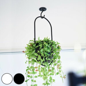 R tower V䂩݂艺łv^[tbN ^[ ΂{[hǑΉ i 4903208102278 ^[V[Y v^[tbN V ݂艺 V䂩݂艺 v^[ tbN 