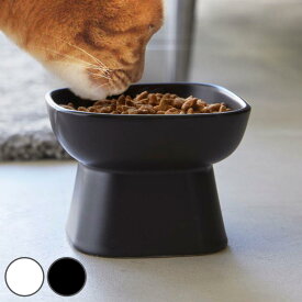 山崎実業 nooks 食べやすい高さ陶器ペットフードボウル ヌークス ノーマル 斜めトール （ 4903208017817 ペットボウル 陶器 電子レンジ対応 食洗機対応 高さがある 犬 猫 ペット用 餌皿 エサ皿 ）【39ショップ】