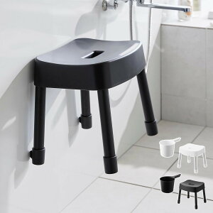 R MIST }OlbgCCX SH30+}Olbg肨 2_Zbg ~Xg i 4903208017237 oX`FA ʍ30cm ʊ 艱 ǖ  zCg ubN jy39Vbvz