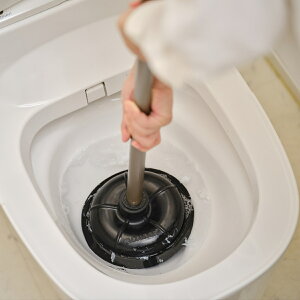 o[Jbv Ot 2989.jp+ ֊r ܂ i gC l܂ ۂ l܂ | | Ki ֗ gC| |pi |pi jy39Vbvz