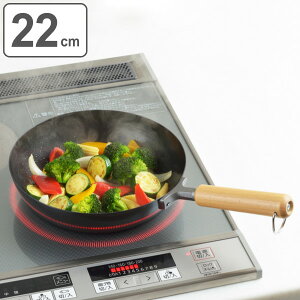 tCp 22cm [^ IHΉ S { NEWOp[ ؕtCp22cm i KXΑΉ ߓ ʑŏoH 22Z` fB[vp fB[vtCp S StCp  