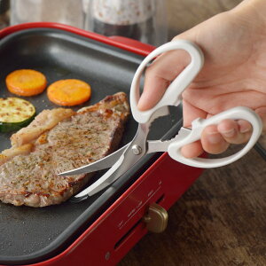 Lb`oT~ MOTTE zbgv[gpē͂ Jo[t i Lb`  ͂ nT~  XeX J[u n K[ht { ΂ \΂ ēp Lb`c[ j 