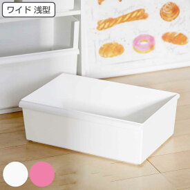 収納ボックス ワイド浅型 カラーボックス インナーボックス 収納 日本製 （ 幅38×奥行27.3×高さ13cm 収納ケース プラスチック 小物収納 ボックス ケース 軽量 収納BOX ストッカー キッチン 小物入れ おもちゃ 積み重ね 長方形 ） 【39ショップ】