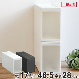 収納ケース スリム L 幅17×奥行47×高さ28cm プラスチック 引き出し 収納 同色2個セット ( 収納ボックス 衣装 ケース ボックス 日本製 隙間収納 クローゼット収納 押入れ収納 クローゼット 押