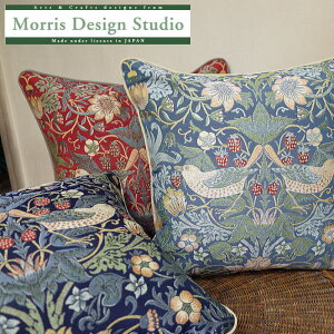 �w���ăN�b�V�����J�o�[�E�C���A���@�����X�@�������D�_�E�B���A���@�����X�@�p��45×45cm�@�􂦂܂��N�b�V�����J�o�[�̂݁i���g�͕ʁj�E�C���A�������X