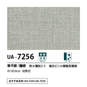 ʎYNX@UENO@IWiNX@CG[X@UA7256