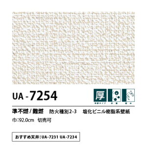 ʎYNX@UENO@IWiNX@CG[X@UA7254