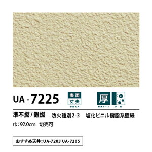 ʎYNX@UENO@IWiNX@CG[X@UA7225