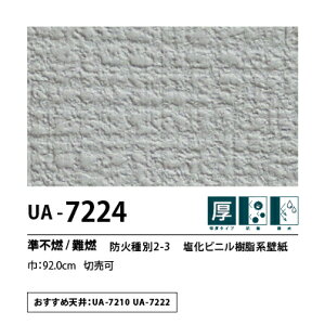 ʎYNX@UENO@IWiNX@CG[X@UA7224