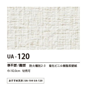 ʎYNX@UENO@IWiNXiʎY^Cvj@CG[X@UA120