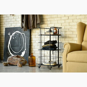  VFt bN I VFt 44cm X`[ It LX^[t I[vbN ACA ubN RpNg [₷ fBXvC