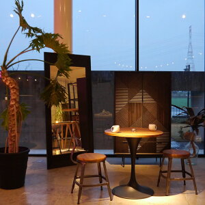 ~[  X^h~[ ^~[ 180cm fUCmg[ fReBu BKF mirror