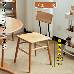 3%OFFN[|+P5{_CjO`FA `F[ C ؐ CX  42cm 1r Vv _CjO`FA[ `FA ؐ֎q ؐ`FA w H֎q I|Ȃ |{b