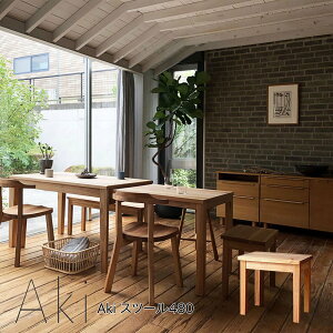 Aki  Xc[ 480 VR Y  Y CX ֎q i ؐ 48cm `a Rh x` EbhXc[