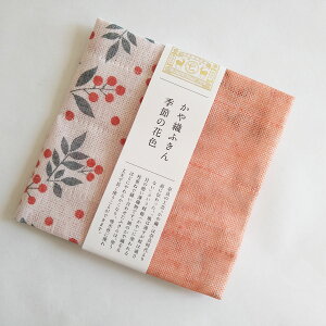 쐭X Dӂ G߂̉ԐF ȂĂ