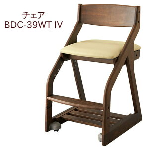 RCY~ r[m ؐ `FA BDC-39WT IV AC{[