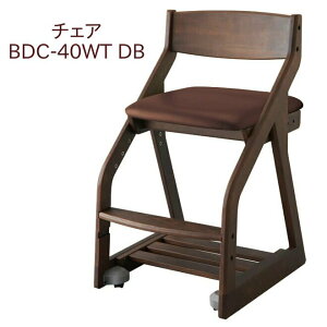 RCY~ r[m ؐ`FA BDC-40WT DB _[NuE