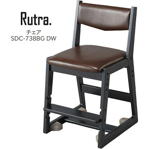 RCY~ g `FA SDC-738BG DW
