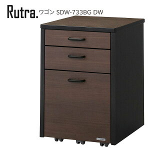 RCY~ g S SDW-733BG DW