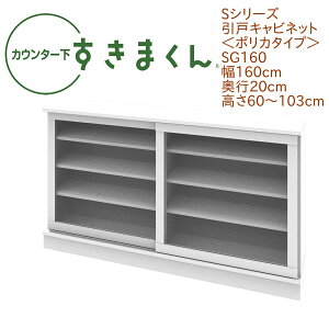 JE^[ ܂ 160cm s20cm  |J^Cv SG160 JE^[[ ȃXy[X I[_[ { Y  Ռϐ ϋv Z~I[_[ I 14FyꕔnJ