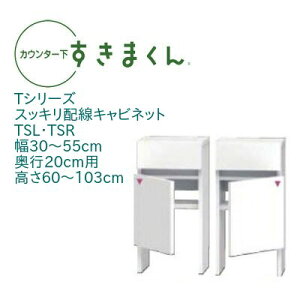 カウンター下 すきまくん 幅30〜55cm 奥行20cm スッキリ配線キャビネット TS カウンター下収納 開き扉 高さオーダー 日本製 国産 ルーター収納 セミオーダー 引出 スライドレール 可動棚 14色