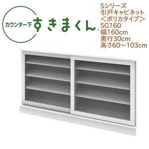 JE^[ ܂ 160cm s30cm  |J^Cv SG160 JE^[[ ȃXy[X I[_[ { Y  Ռϐ ϋv Z~I[_[ I 14FyꕔnJ