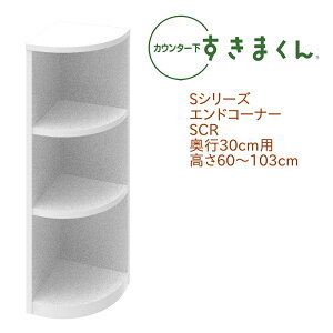 JE^[ ܂ s30cm GhR[i[ SCR Eup JE^[[ I[_[ { Y Z~I[_[ I[v I 14F