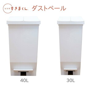 W܂ IvV _Xg{bNX S~ tbgy_ ӂ ωJ J ӂt W SJ 30L 40L zCg  ubN  n Vv