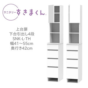 Tj^[܂ 41`55cm s42cm 190cm   o 4i THL THR yꕔnJݒuz