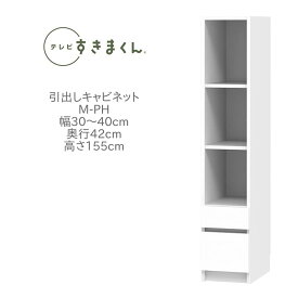 テレビすきまくん 幅30～40cm 奥行42cm 高さ155cm 片開きキャビネット M-PH【代引き不可】