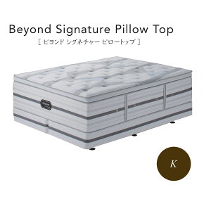 VY Simmons xbh r[eBXg NX rh VOl`[ s[gbv AA21BS1 BA21BU1 LOyꕔnJݒuz