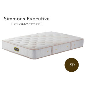 VY Simmons xbh VY GO[NeBu AA21121 Z~_uyꕔnJݒuz