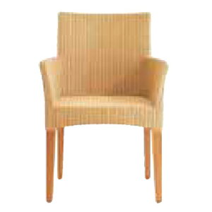 Ch[ r[`Ebh A[`FA No.1109 Lloyd Loom H `FA CX It ֎q CMX RN^[ i