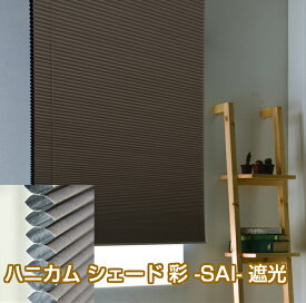 ハニカム 遮光1級 ロールスクリーン シェード フルネス 規格サイズ 幅40×高さ135cm