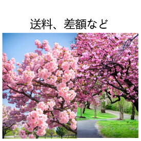 送料と差額について