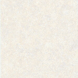 tySܕtsRF艻σV[g z^LV[AC xrA / S-519 ~L[Th 1mȏ10cmPʂŔ̔i1Œ51m܂Łj