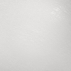 tySܕtsRF艻σV[g z^LV[AC xrA vXebNXV[Y TX-091 ~XeBzCgv 1mȏ10cmPʂŔ̔i1Œ51m܂Łj