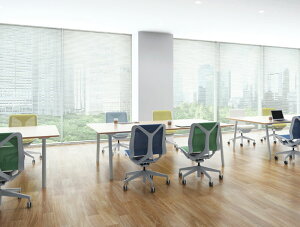 yő|Cg23{{N[|z^`JuCh ƖpuCh m^b`25 _[R[h [v x[VbNJ[EՔMEp[J[